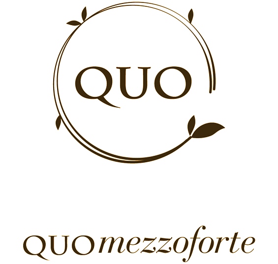 ２QUO＋mezzoforte ロゴ.jpg